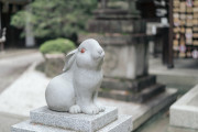 桜鶴苑