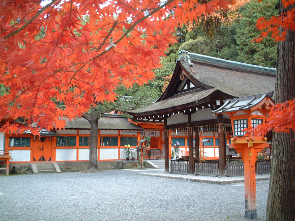 桜鶴苑