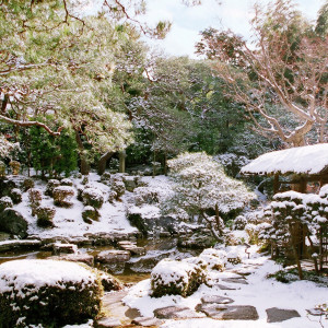 雪景色も映える冬の日本庭園|桜鶴苑の写真(32262407)