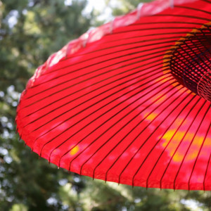 お写真にもよく映える番傘|桜鶴苑の写真(1394821)