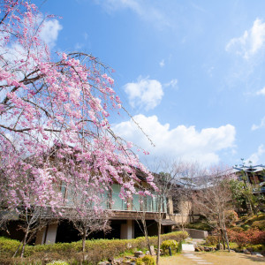 しだれ桜など8種類の桜が次々と花開く春の洋風庭園|桜鶴苑の写真(32262453)