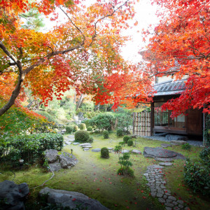 紅葉で真っ赤に染まる秋の日本庭園|桜鶴苑の写真(32262435)