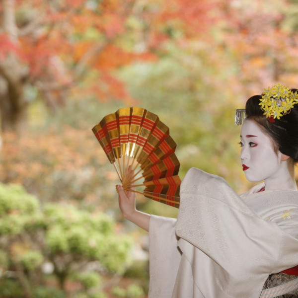 舞妓さん演出|桜鶴苑の写真(1395797)