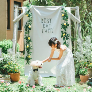 究極のペットフレンドリーなのびのび自由に過ごせるガーデン|VILLA de ESPOIR  ～エスポワール～の写真(56632098)