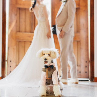 ＼愛犬と参加◎／挙式〜披露宴までずっと一緒★ペット婚相談会