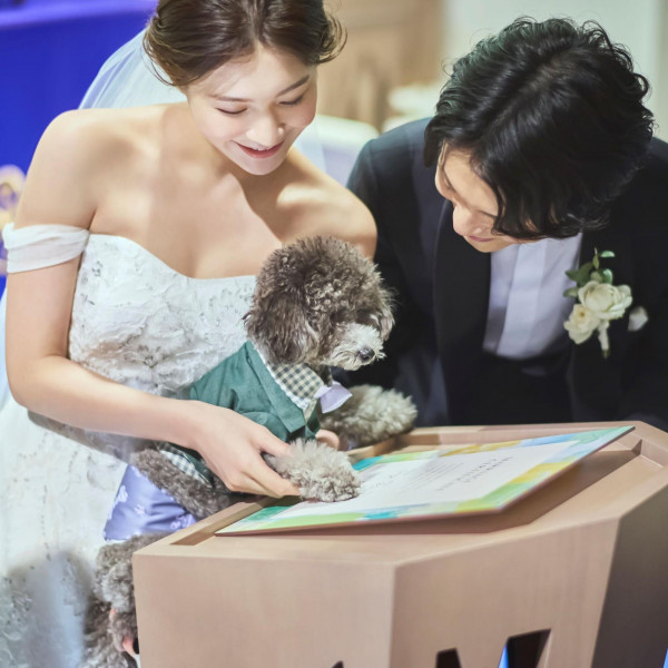 料理などでのモチーフもご提案