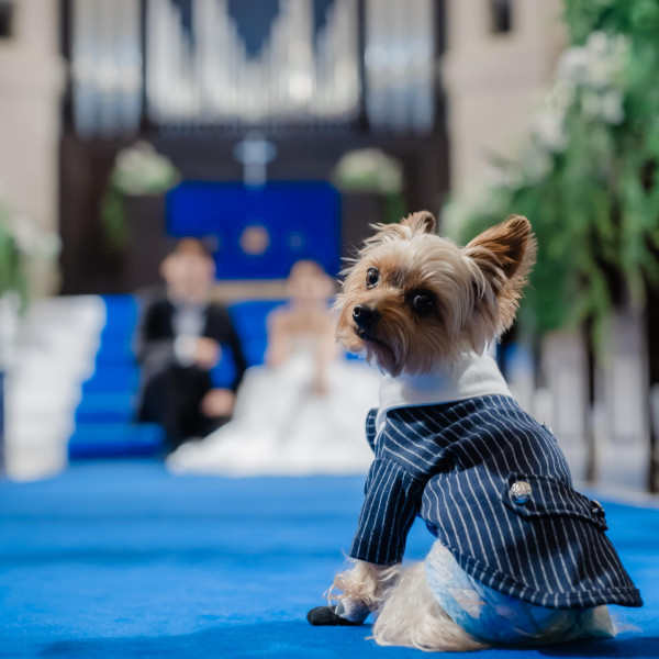 愛するペットも家族の一員!