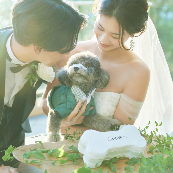 オプションでワンちゃんと一緒の撮影もできる**