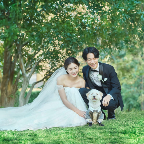 ガーデン併設なので、雰囲気を変えてワンちゃんもお楽しみいただけます*