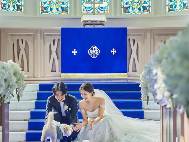 「ペット婚」で選ばれるアニヴェルセル柏