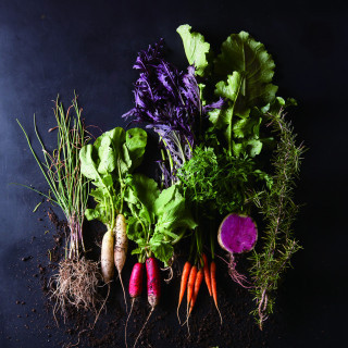 自然への感謝の想いをお料理に添えて。今日も採れたての野菜たちがテーブルを彩ります。