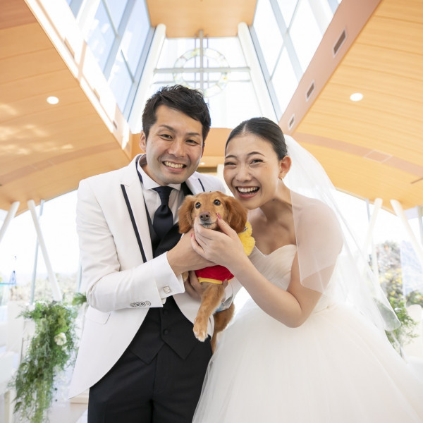 神奈川のペットと一緒の結婚式ができる結婚式場 口コミ人気の選 ウエディングパーク
