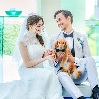 【ペット婚をご検討の方へ】試食&ペット婚限定特典付き相談会