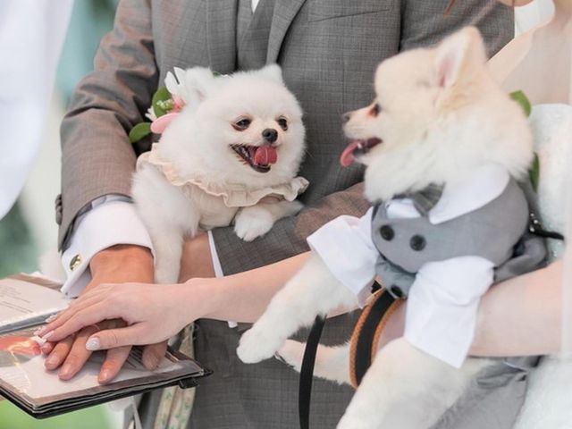 ペット婚ならではのご相談会