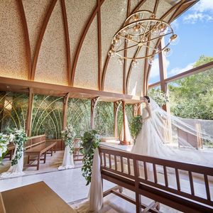 ニーズ岐阜 by T&G WEDDING(旧 アーフェリーク迎賓館 岐阜)のフォトウェディング・前撮りの写真