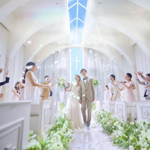 様々な方に向けたお得なプランを随時更新！お見逃しなく！