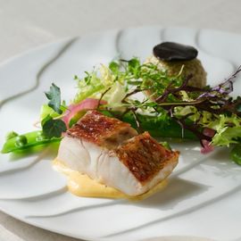 【料理重視の方◎】シェフ渾身コース試食＆おもてなし料理特典