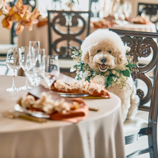 【全館OK】大切な”ペット”と過ごす挙式&披露宴フェア
