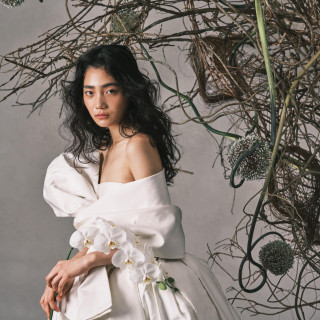 選べる豊富なドレスラインナップ