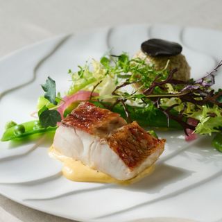 【料理重視の方◎】シェフ渾身コース試食&おもてなし料理特典