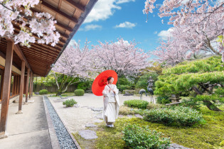 四季折々日本庭園を望む|The Private Garden FURIAN山ノ上迎賓館（ザプライベートガーデンフリアン）の写真(40578079)