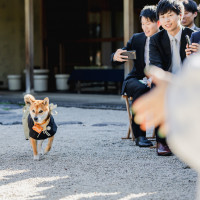 The Private Garden FURIAN山ノ上迎賓館（ザプライベートガーデンフリアン）