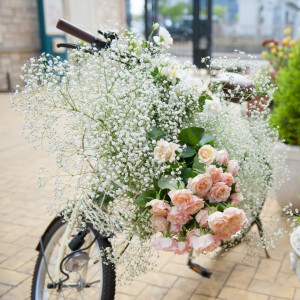 お気に入りの自転車にお花をいっぱい入れてウェルカムグッツにも♪|ピアザ ララ ルーチェの写真(1331421)