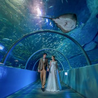 北海道登別マリンパークニクスでのロケーション撮影♪