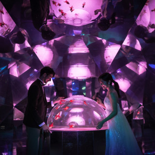 水族館フォト