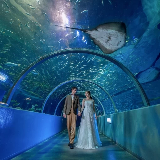 アールベルアンジェ室蘭