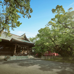 1100年の歴史ある神社「浜松八幡宮」|浜松八幡宮　楠倶楽部の写真(24293863)