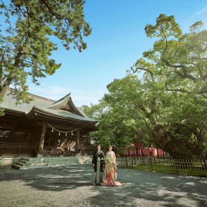 フォトスポットとしてもおすすめです。いつでも、何年経っても帰って来れる場所である神社で結婚式を。|浜松八幡宮　楠倶楽部の写真(24294014)