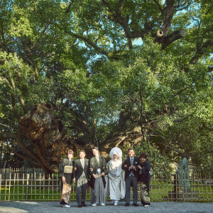 樹齢1200年。御神木「雲立の楠」の前で記念写真|浜松八幡宮　楠倶楽部の写真(24293851)