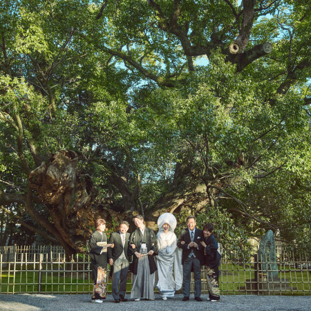 樹齢1200の御神木「雲立の楠」の前で、家族写真
