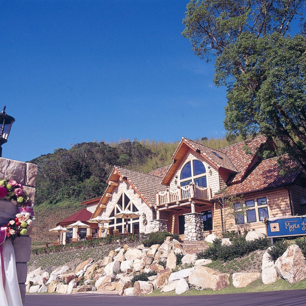 緑と光が彩る空間を貸し切って、おもてなしに満ちたアットホームウエディング！|ガーデンレストラン&ウエディング メープルヒルの写真(528062)