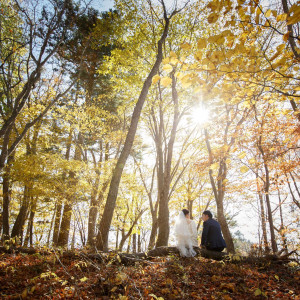 フルコース料理無料試食つき相談会
