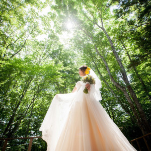 光がドレスに反射し、眩しいくらい美しい一枚|軽井沢倶楽部 有明邸の写真(4861342)
