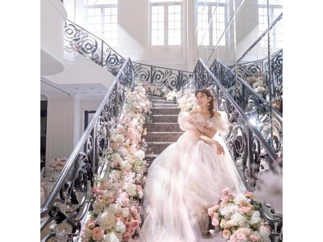 期間限定*シーズンプランを紹介