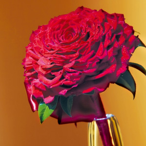 【ブーケ】真っ赤なバラの花びらをひとつひとつ重ねたメリアブーケ。シンプルなバンケットの中でひときわ目を引くデザイン|コンラッド東京の写真(246372)