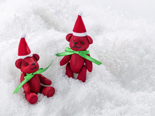 【来館特典】コンラッドベア 【成約特典】20周年記念特典、衣裳特典