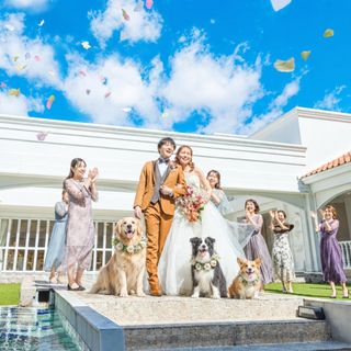 全天候型《愛犬と叶える憧れW》貸切×スタッフサポートで安心♪限定特典付