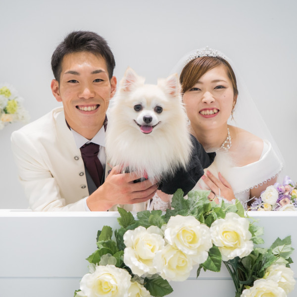 仙台市のペットと一緒の結婚式ができる結婚式場 口コミ人気の4選 ウエディングパーク