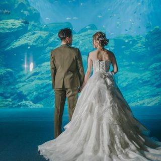 青く輝くロマンチックな世界。大水槽の前で、まるで海の中にいるような幻想的な1枚を。
