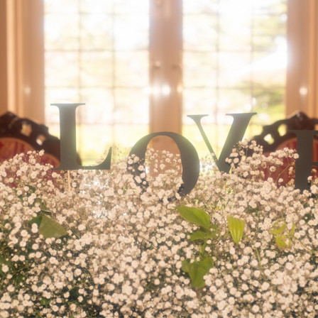 Showy Baby's-breath|アールベルアンジェ釧路の写真(1519763)