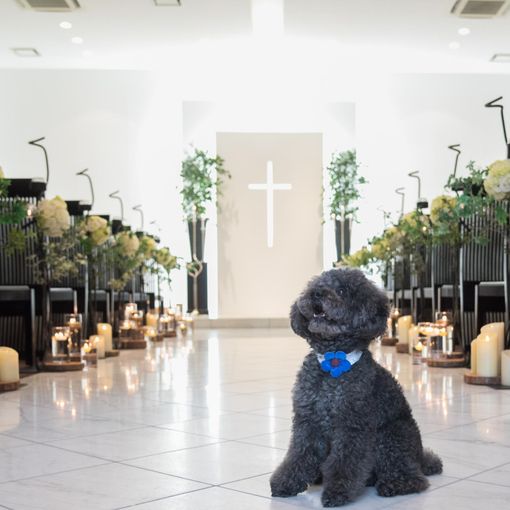 アールベルアンジェ釧路の結婚式の公式写真（2枚目）