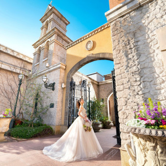 ラシュレディアコート