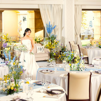 ラシュレディアコート