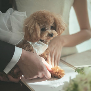 総額より10万円OFF