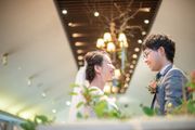 ノビアノビオ
