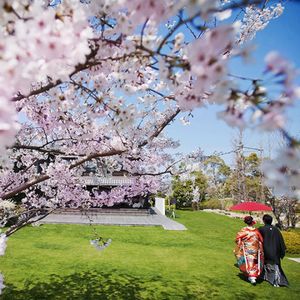 【期間限定】贅沢試食×花咲くガーデン◆桜薫る春庭体験フェア
